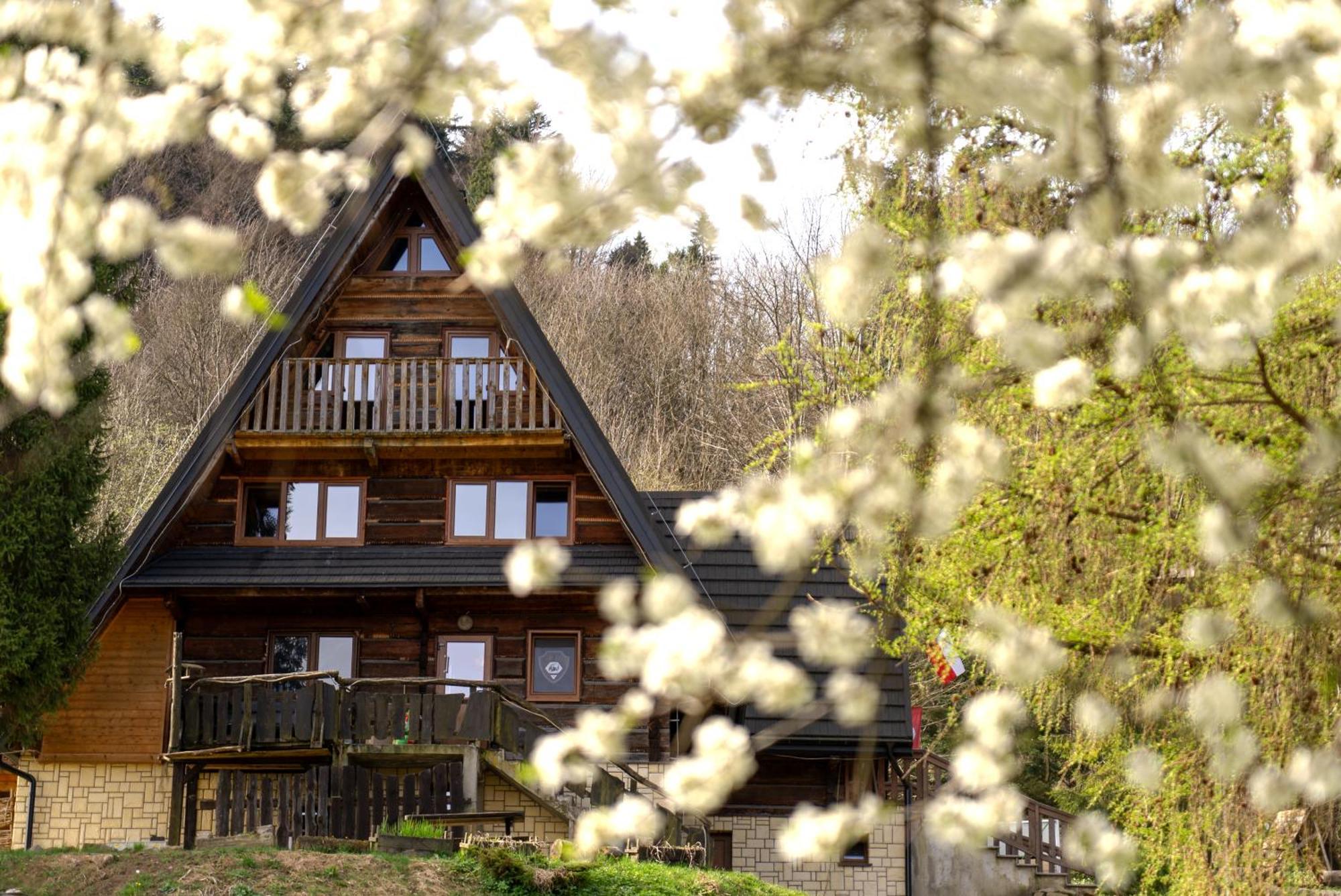 Hostel Bacowka Pttk Pod Honem - Schronisko Gorskie Cisna Exterior foto